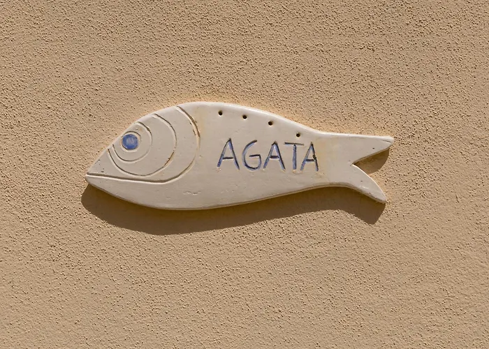 Sofia سان فينتْشينسو